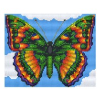 Motýľ 34475